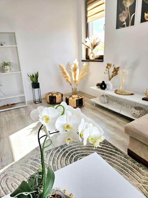 Cozy Sorada 1 Apartment Bragadiru Luaran gambar